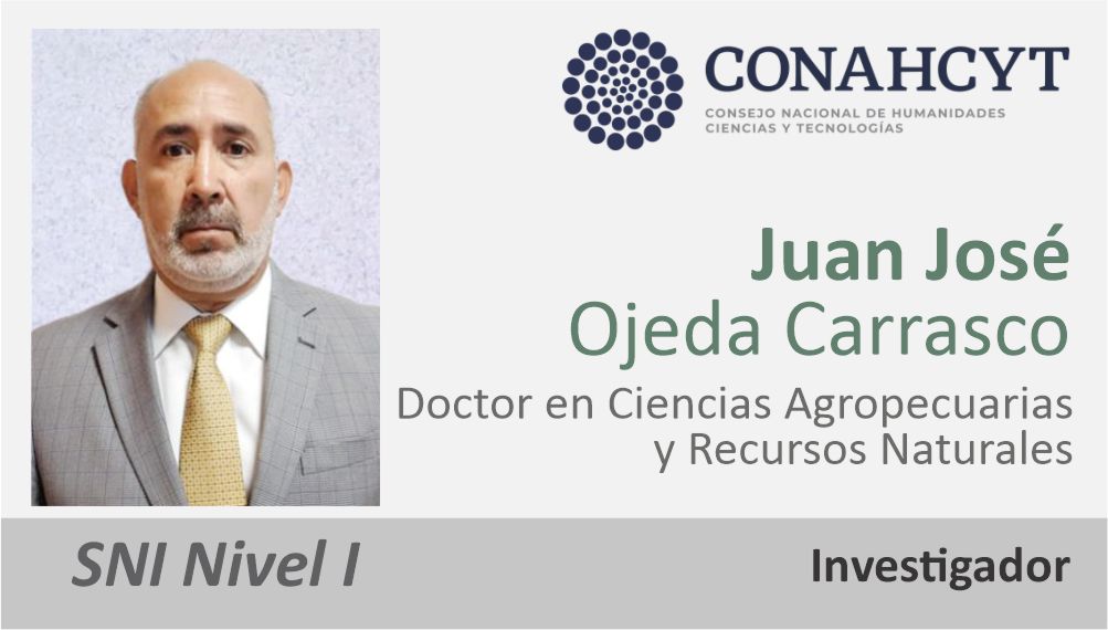 Ver Currículum Vitae