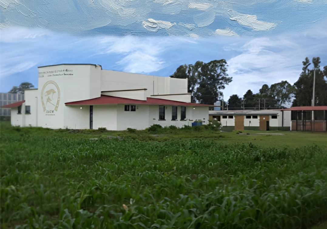 hovetge1